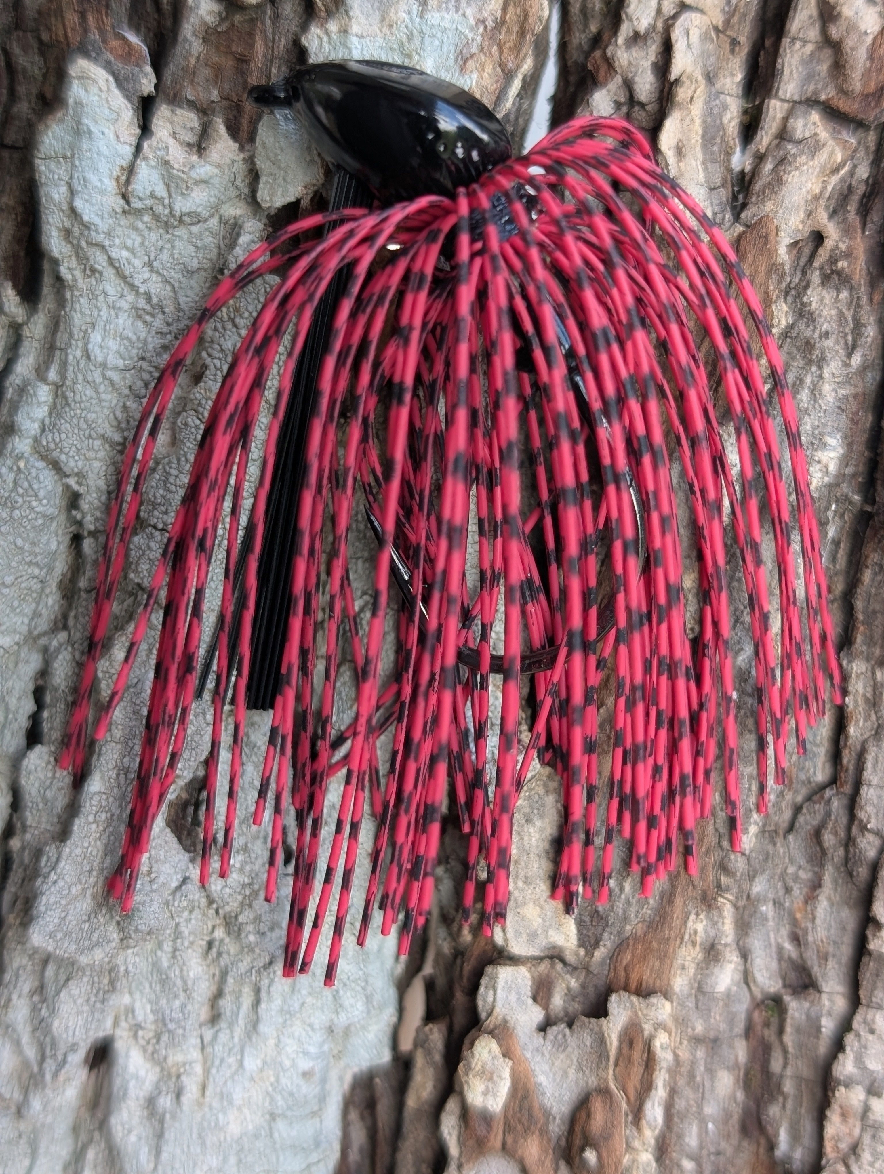 Cherry Seed